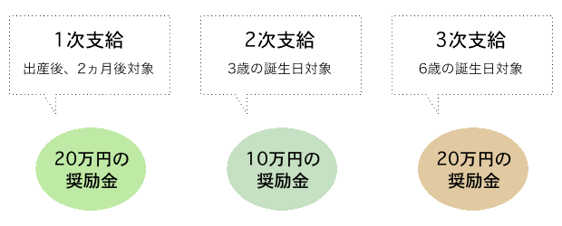 1次支給（対象時期：出産2ヵ月後）に20万円の奨励金、2次支給（対象時期：3歳の誕生日後）に10万円の奨励金、3次支給（対象時期：6歳の誕生日後）に20万円の奨励金を支給いたします。