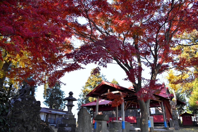 紅葉02