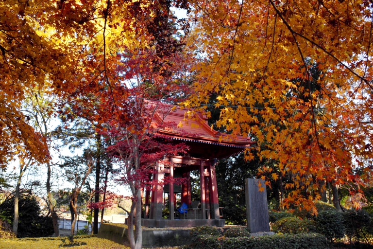 紅葉06