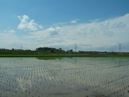 境町の田園風景01