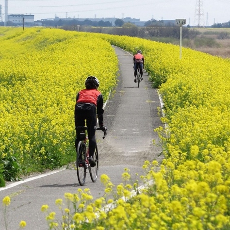 サイクリングコース