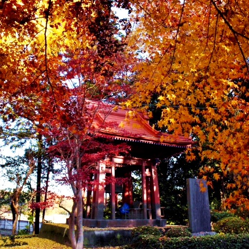 境町の紅葉