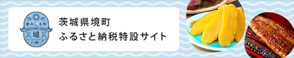 新特設サイト